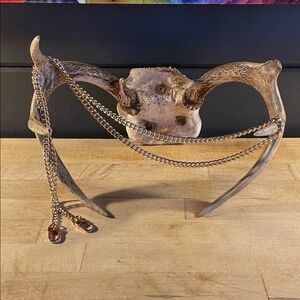Gold tone Chain Crossbody Strap!
